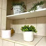 Sea Garden Apartment Varna